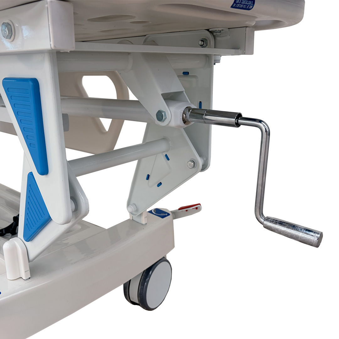 Camilla-4 - MedicaGama