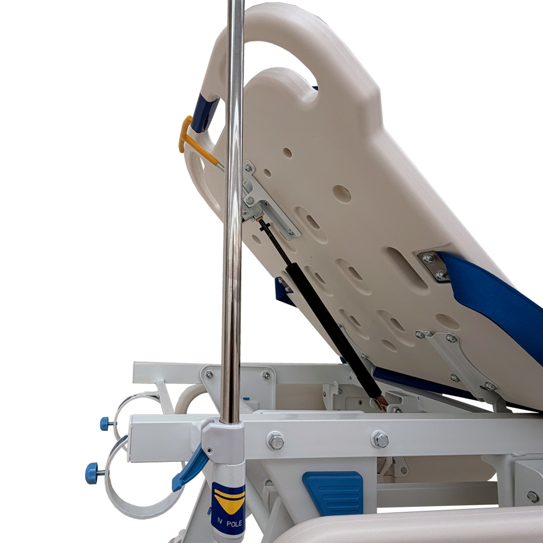 Camilla-6 - MedicaGama