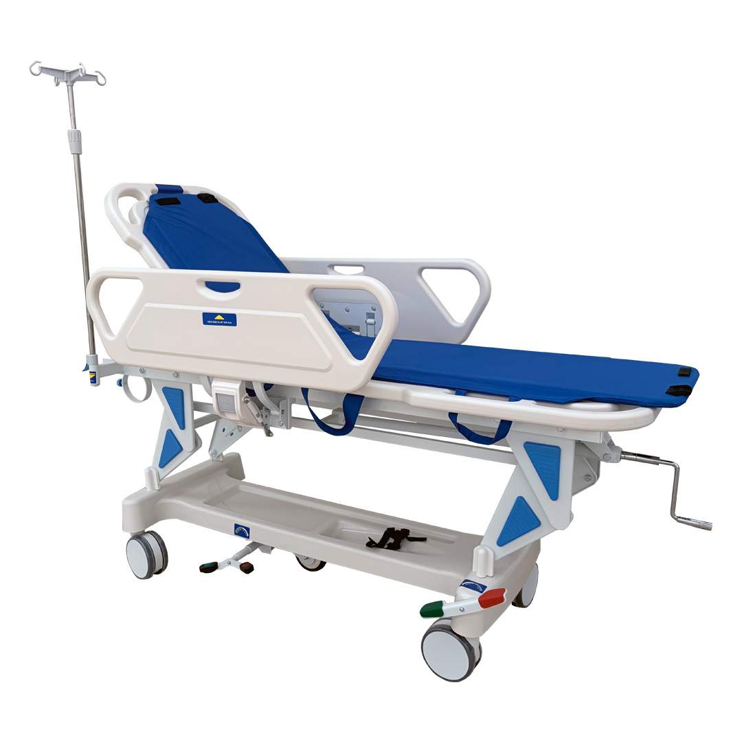 Camilla-8 - MedicaGama